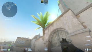 Flash Short from Goose